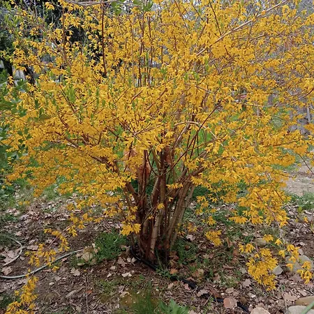 아파트 Abruzzo - Tra Mare E Monti